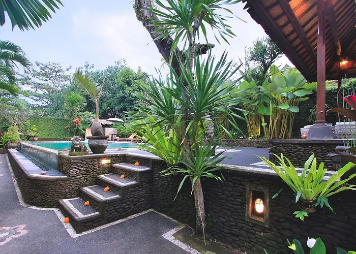 View 2*